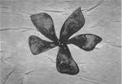 Jos Mara Sicilia -Les mille nuits et une nuit VII, 1997