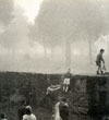fotografía obra