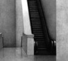 fotografía obra
